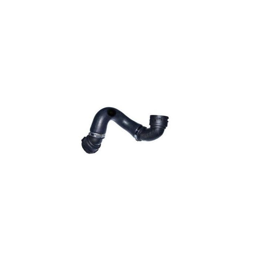 E90 323I, 325I, 330I, E87 130I Hose - Radiator Lower