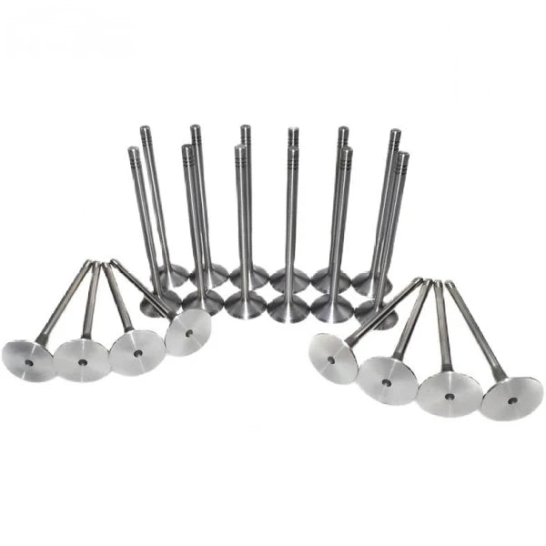 Polo Vivo 1.4/1.6 Engine Valve (CLP/CLS Engine) -16 Piece